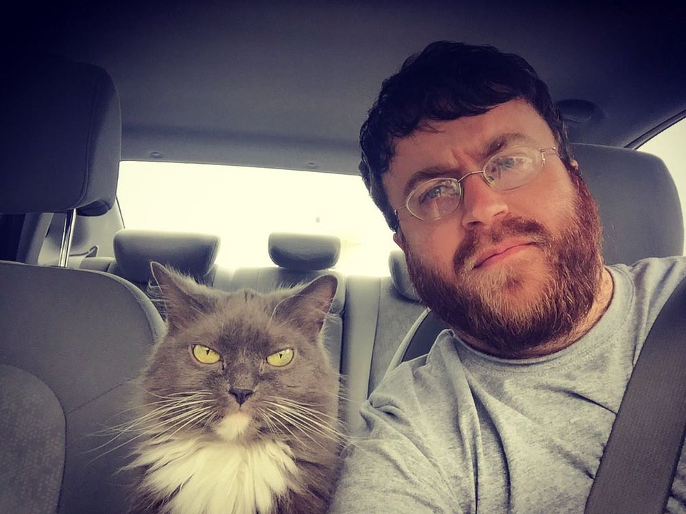 cat and man judging you 