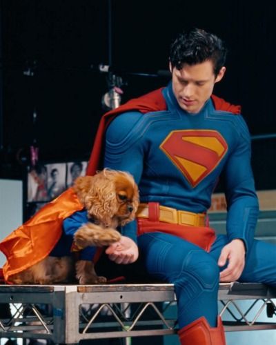 David Corenswet in his Superman costume playing with a small red dog who is also in a Superman costume. 