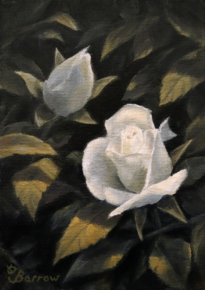 An acrylic painting of two rose buds unfurling in dappled morning light. One is more unfurled than the other, and is glowing brightly against a dark backdrop of leaves.