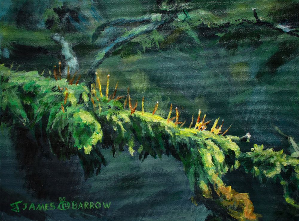 An acrylic painting of a mossy branch. The scene has the cold feel of winter, but a band of warm light shines across the mossy branch, illuminating it and revealing rising seed heads poking up out of the thick moss.