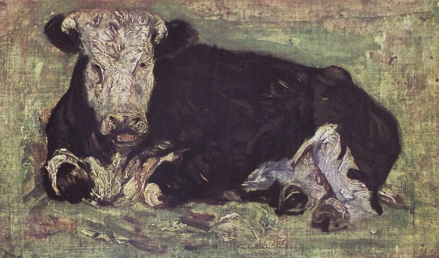 Lying Cow