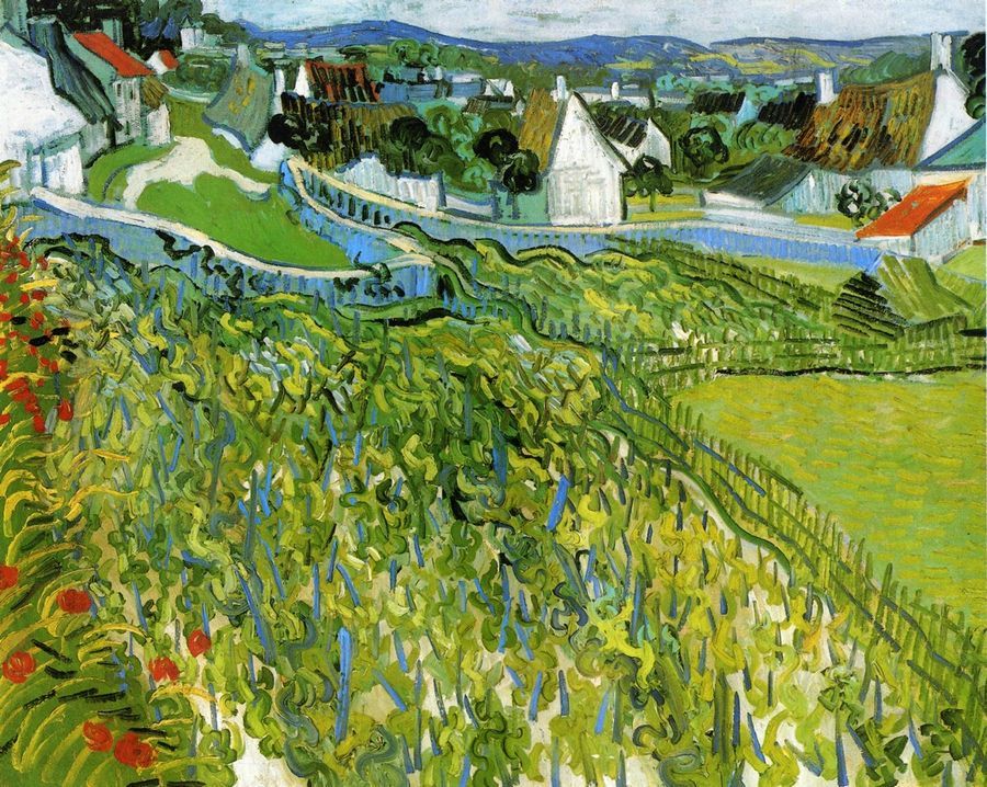 Vineyards at Auvers