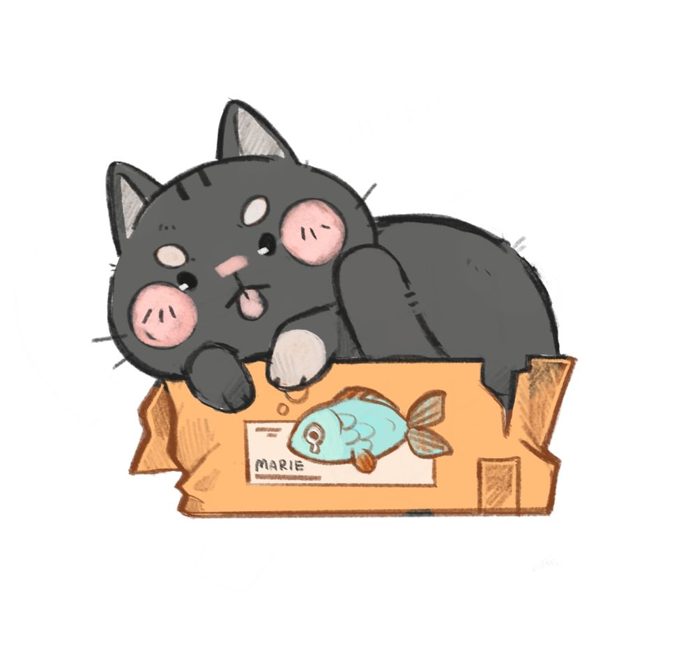 Dicke Katze in einem Karton