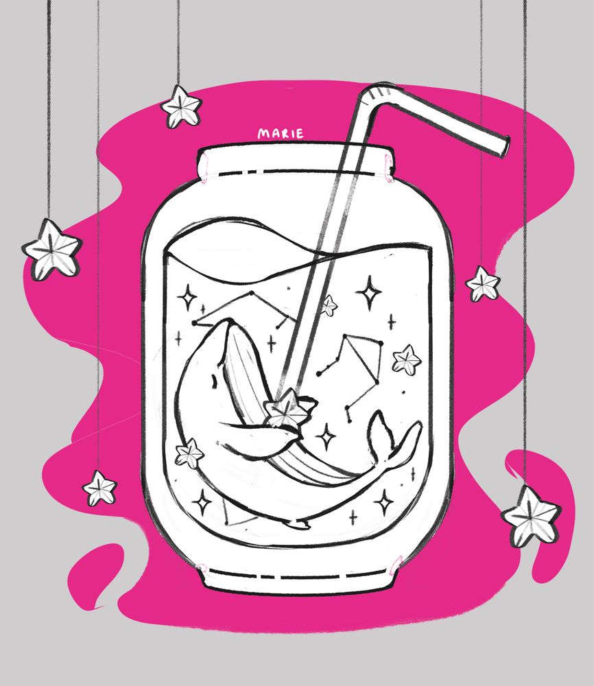 Skizze - Wal im Glas mit verschiedenen Sternen