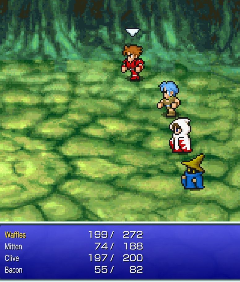 Final Fantasy 1 party