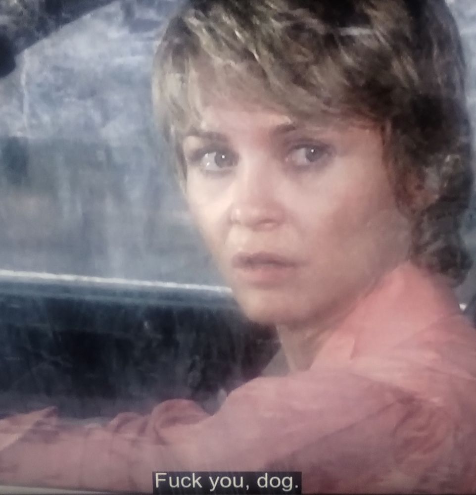 Screenshot from Cujo of a woman with short hair driving a car looking out the window at a rabid St Bernard, subtitles say fuck you dog
