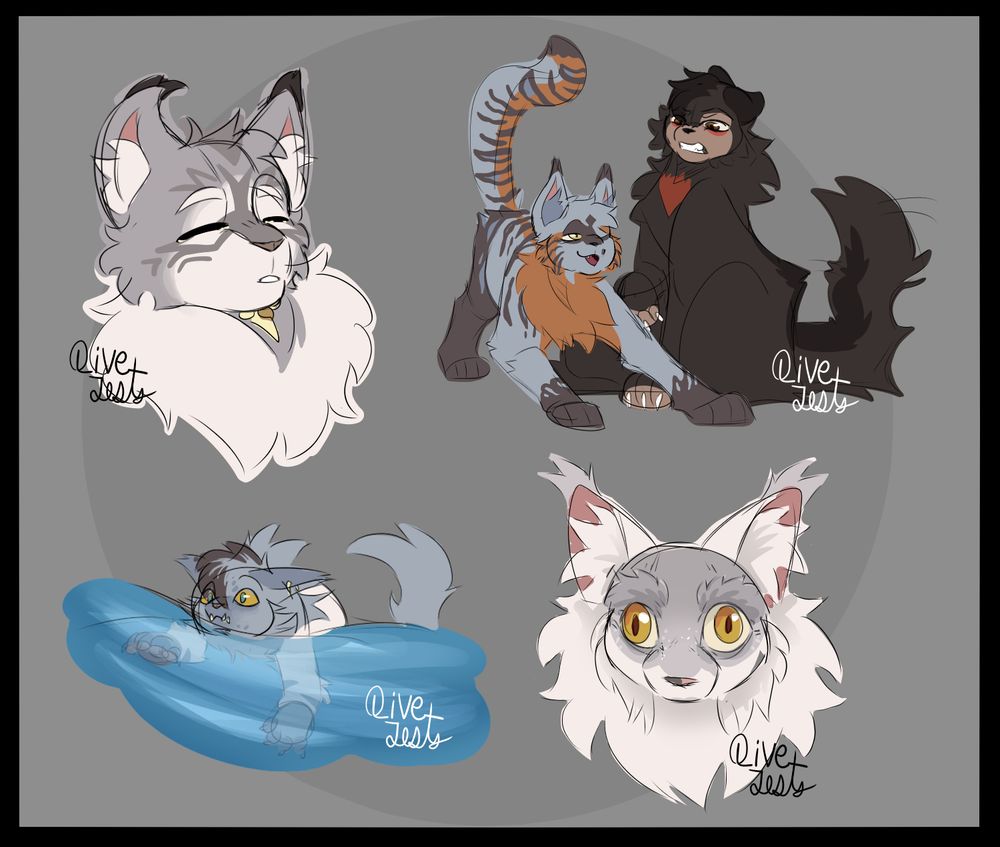 A colored sketch page with 4 different scenes doodled on it.

Upper left: a light colored tabby squinting with an uncomfortable look and sand in his eyes. 

Upper right: a blue, brown, and orange tabby crouching down with a smirk beside an angry black and red Tom-cat.

Bottom left: a white and blue Tom-cat trying to swim with a bewildered look on his face 

Bottom right: an up close headshot of a crusty old white cat with eyes that don’t look in the same direction 