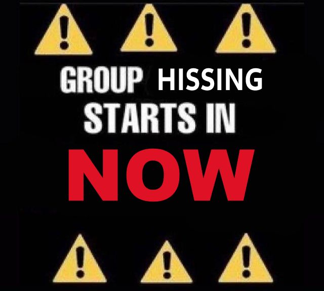 A black image with text saying 'group hissing starts in NOW, with caution signs on top and bottom of said text