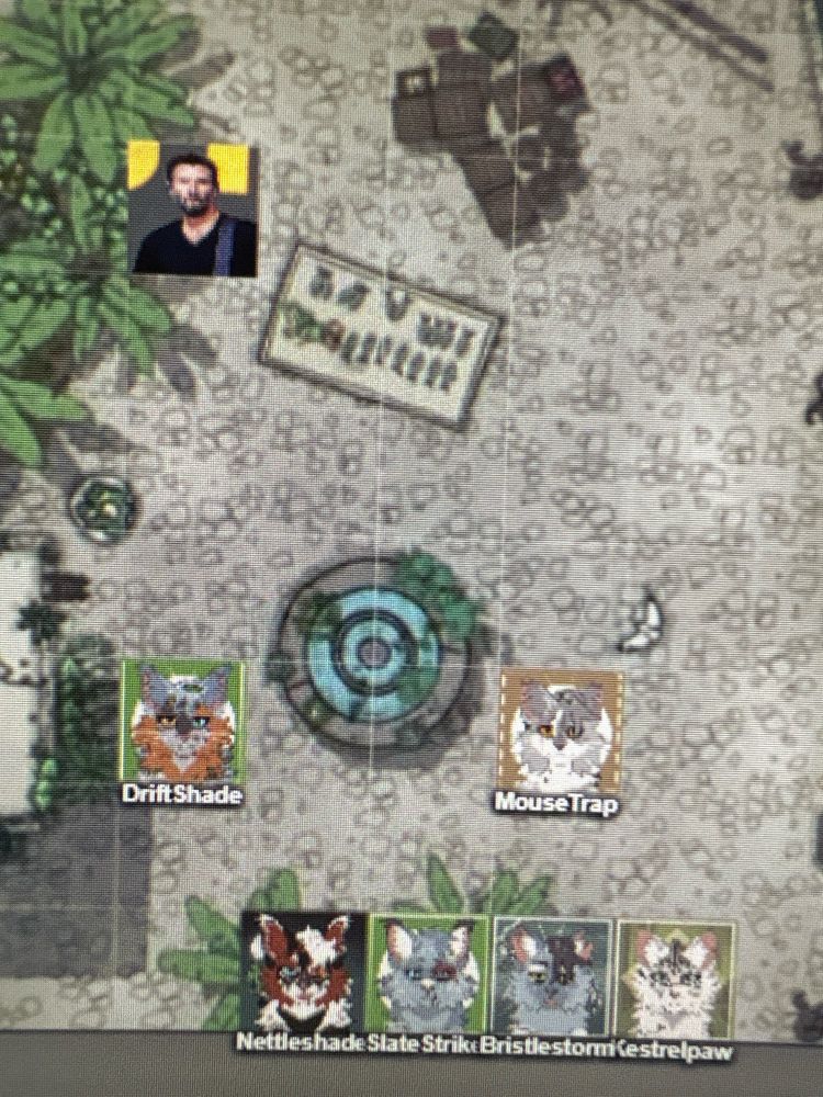 A photo of the DND map with a group of cats looking toward Keanu Reeves who is guarding the fish 