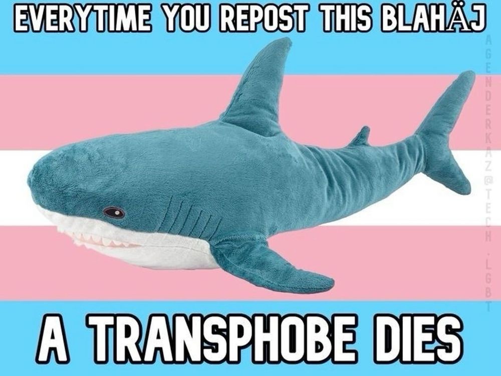 A blahaj with the trans pride flag

Every time you repost this blahaj, a transphobe dies.