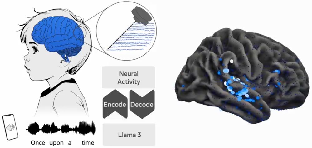 https://ai.meta.com/research/publications/emergence-of-language-in-the-developing-brain/
