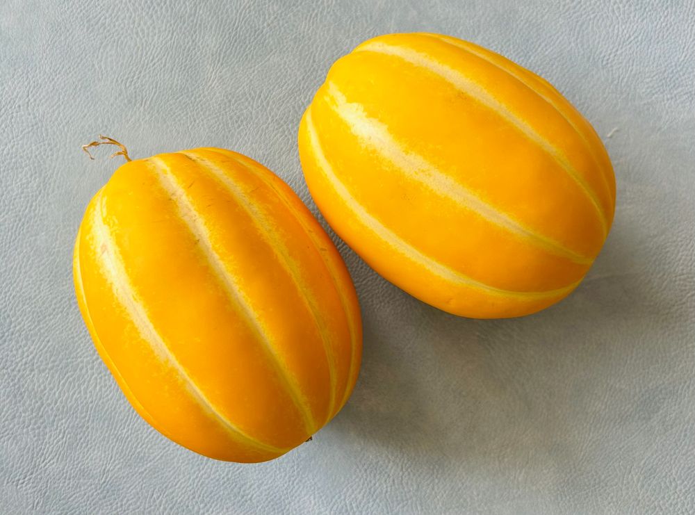 There are two Korean melons (참외) on a placemat.