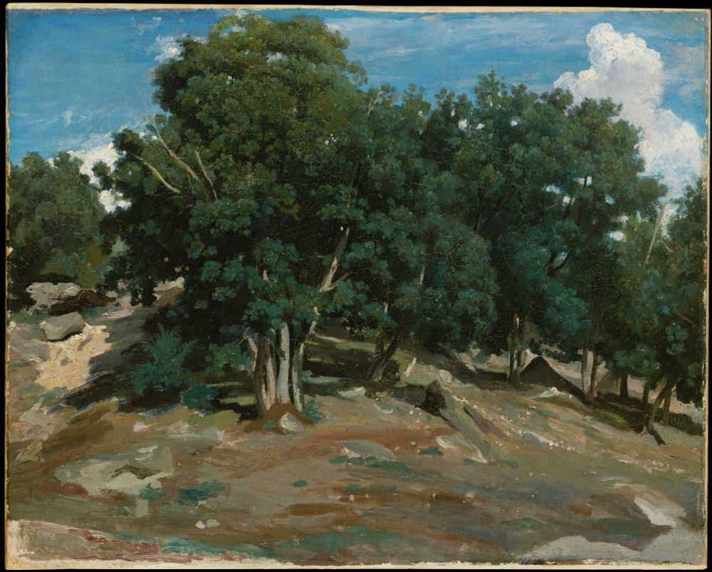 "Corot painted this study in the summer of 1832 or 1833 in Bas-Bréau, a section of Fontainebleau forest that was famous for its immense oak trees." (The Met) 