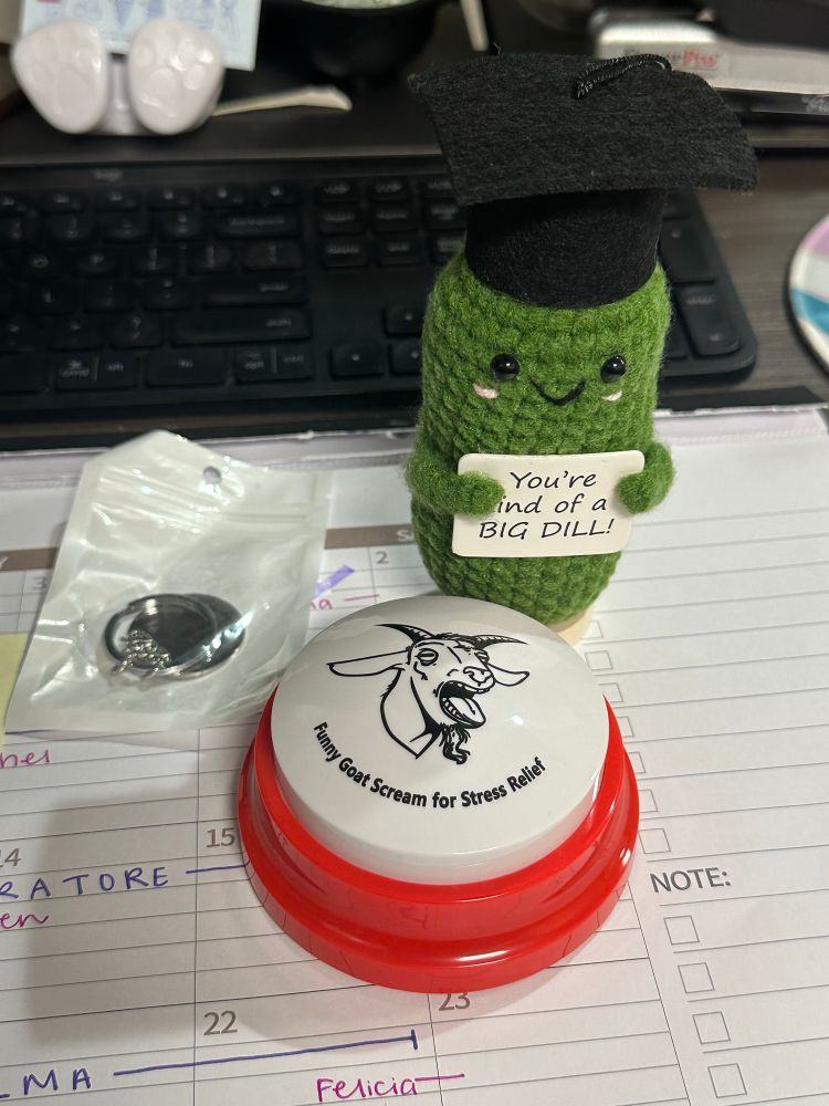 A photo of a dill pickle crocheted plushie, which holds a sign that says “You’re kind of a big dill.”, a button, that when pressed does a goat scream, and a 2025 graduate keychain. 
