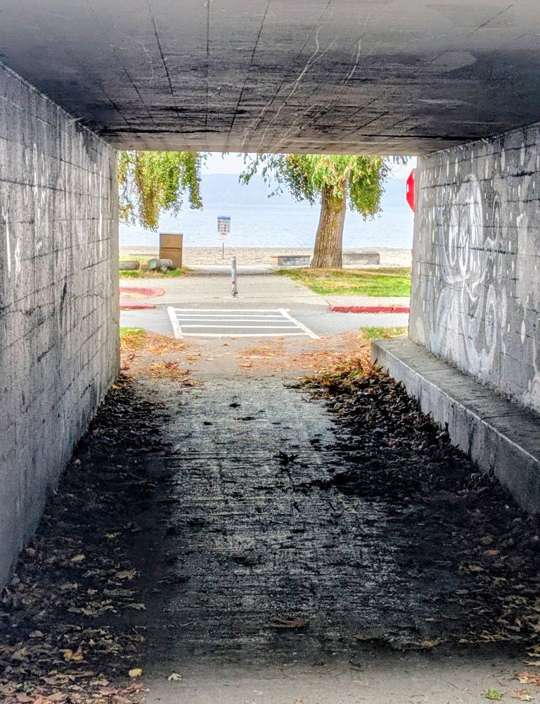 Tunnel looking out towards the water