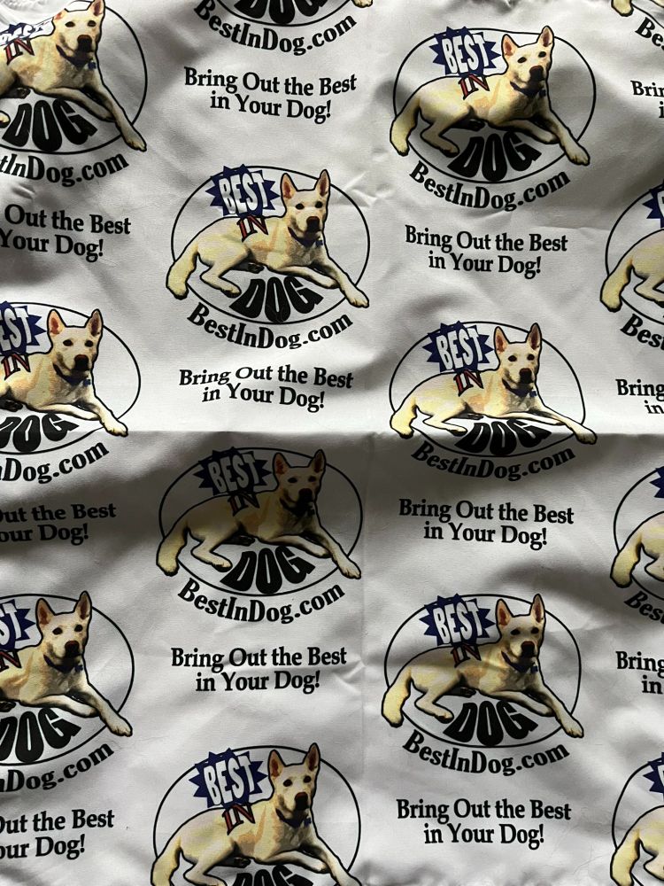 Cool new Best in Dog bandana