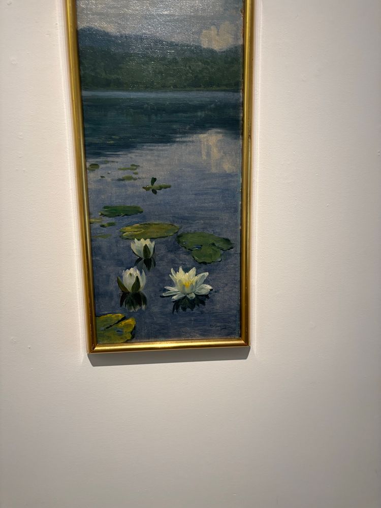 Näckrosor av Christian Skredsvig.