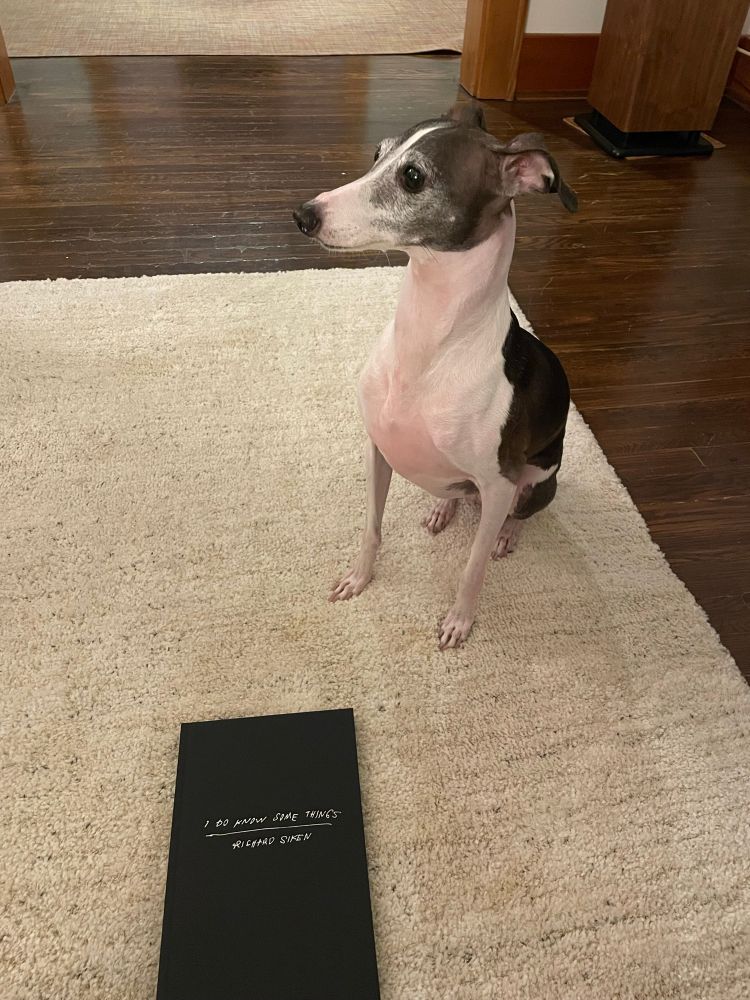A small black and white dog looks off into the distance not knowing that she won’t be able to read “I do know some things” by Richard Siken. She is sitting on a white rug next to a black book with the title “I Do Know Some Things” by the author Richard Siken. 