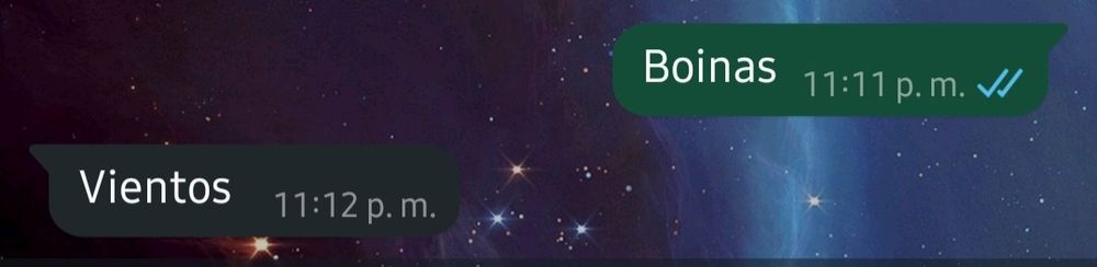 Captura de pantalla de una conversación en WhatsApp. Una persona dice: "Boinas", y la otra responde: "Vientos".