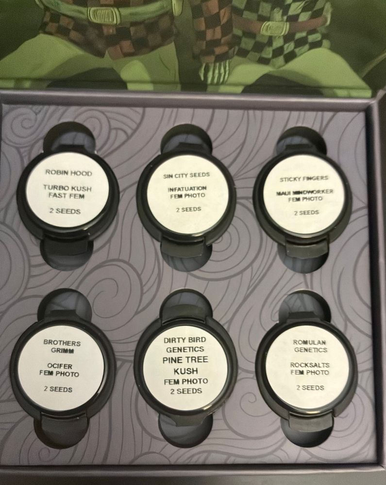 Robin Hood Turbo Kush (OG Kush Auto x BBC (Banana Butter Cups)), Sin City Seeds Infatuation (Jealousy BX x Blue Power IX2), Sticky Fingers Maui Mindworker, Brothers Grimm Ocifer (CAP Junky x Rosetta Stone), Dirty Bird Genetics Pine Tree Kush (Grape Jelly x PKB Remix), Romulan Genetics Rocksalts ((Pineapple Express x Red Hots) x Romulan)
