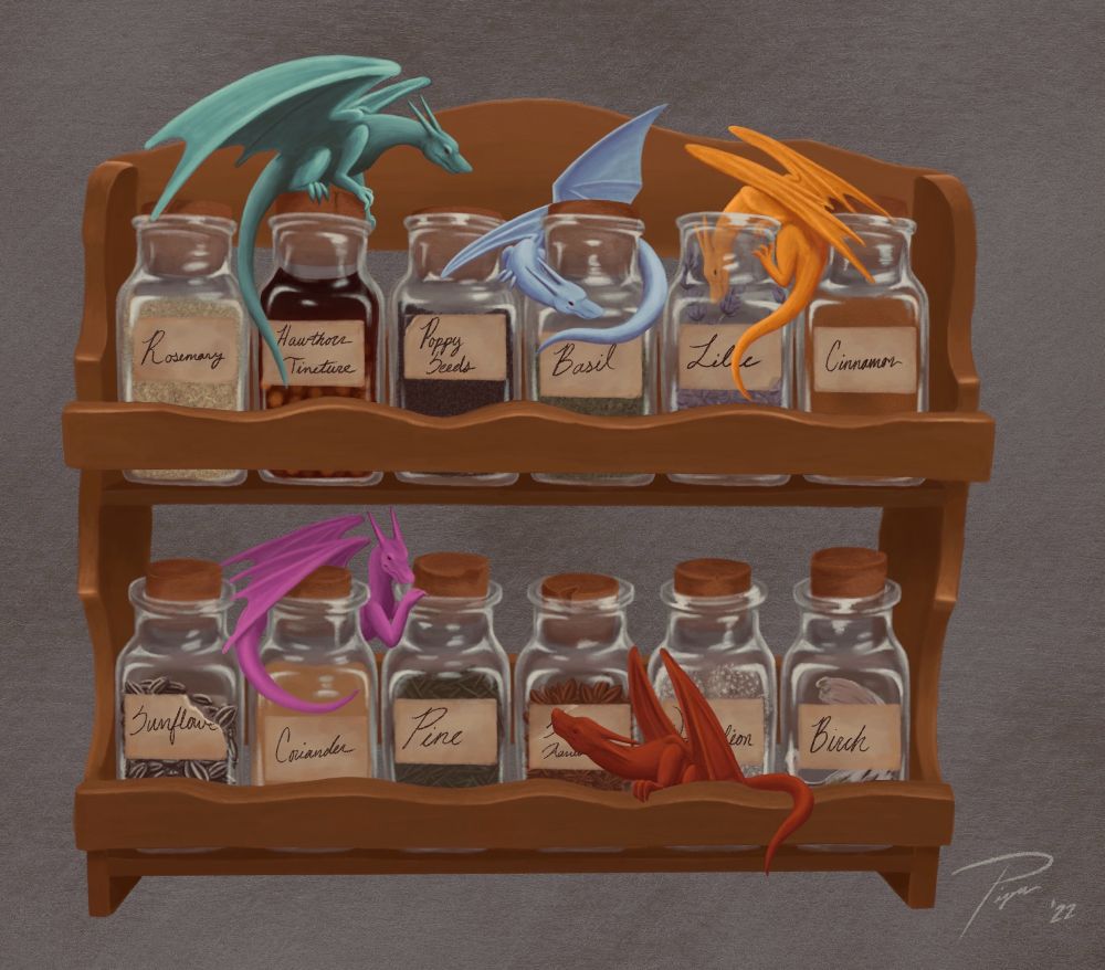 Five colorful tiny dragons (from top left to bottom right - teal, baby blue, golden yellow, fuchsia, and red) exploring a wooden spice rack with various corked bottles labeled: Rosemary, Hawthorne Tincture, Poppy Seeds, Basil, Lilac, Cinnamon, Sunflower, Coriander, Pine, Star Anise, Dandelion, and Birch on a plain textured gray background