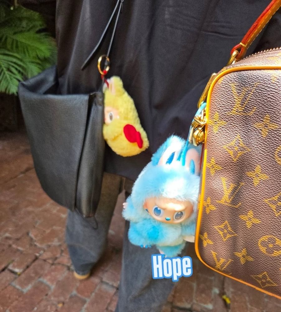 From hobi ig, a pic showing namjoon's shrimp labubu and his own blue labubu called hope (on his LV bag)