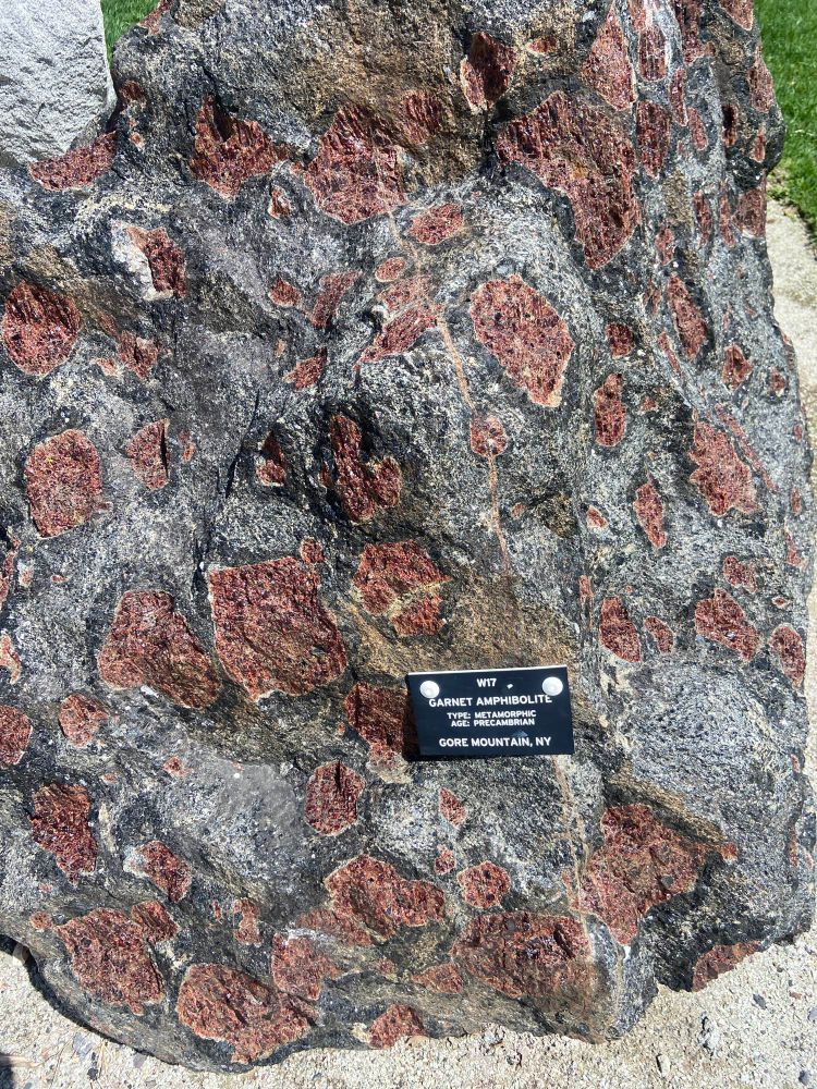Garnet amphibious from gore mountain. Garnets the size of my fist 