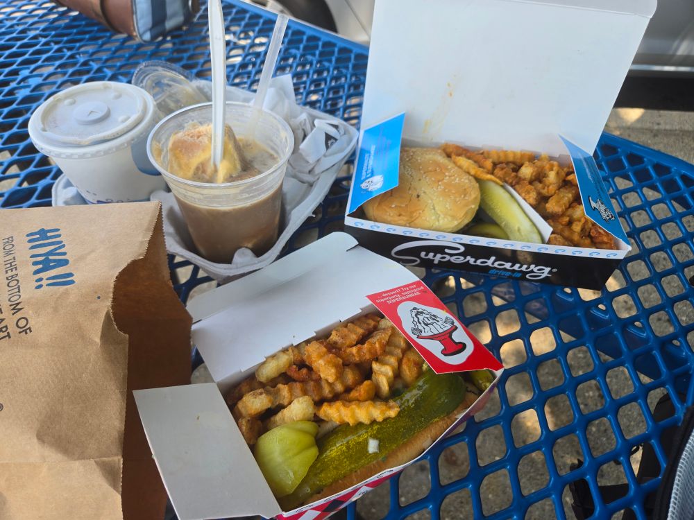 Our lunch at superdawg, a great Chicago hot dog spot. 

Cheese burger, hot dogs, fries, and a black cow