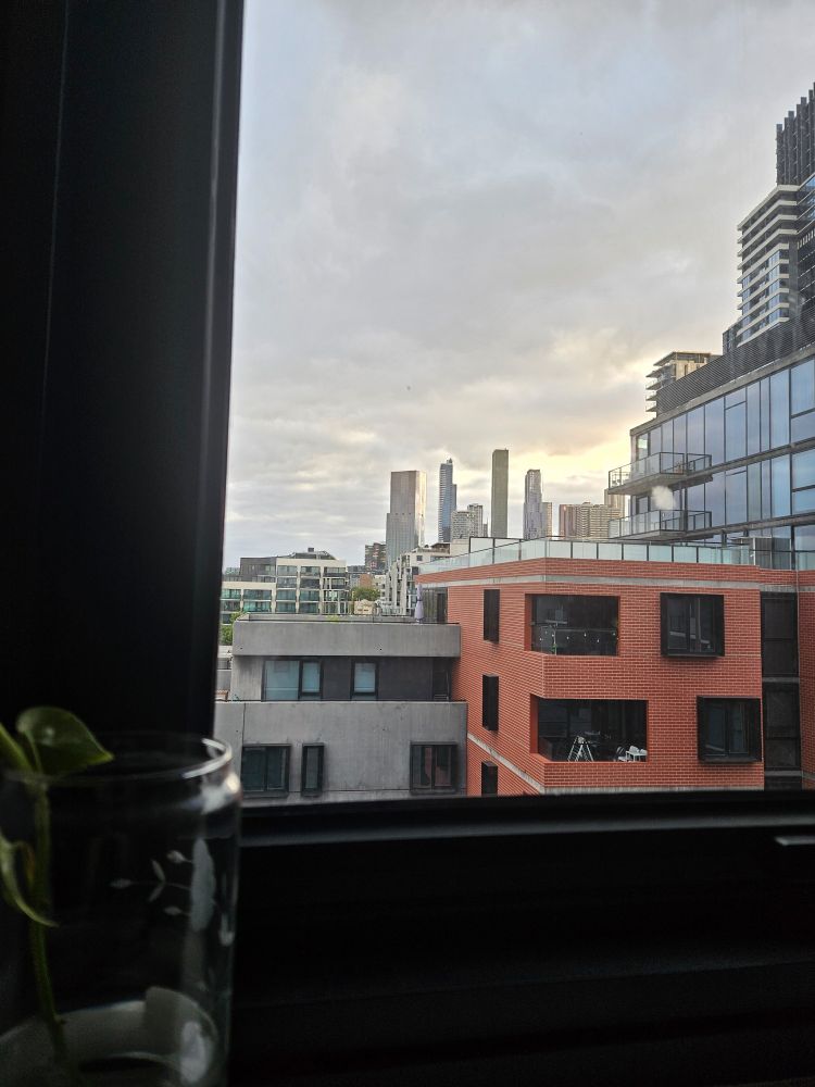 Pic shows a window view from my 7th floor apartment, looking East towards the sun rising through the Melbourne CBD buildings. A pothos cutting sits in the bottom lhs of the pic.