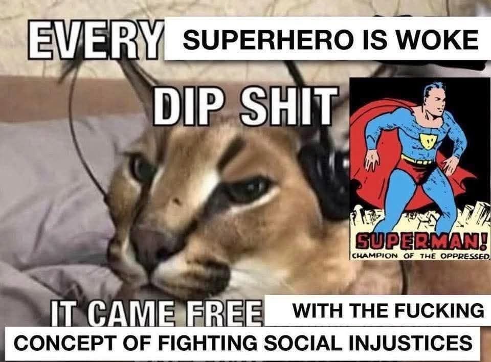 Every superhero is woke dip shit, it came free with the fucking concept of fighting social injustices