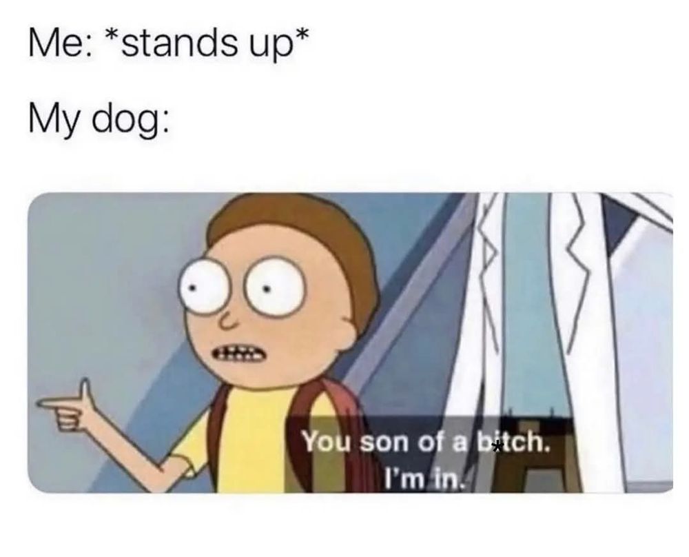 Me *stand up*
My dog : morty saying "you son of a bitch. I'm in"