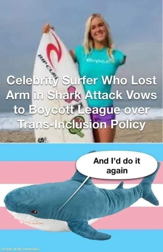 Celebrity surfer who lost arm in shark attack vows to boycott league over trans-inclusion policy

Blahaj shark plushy : "and I'd do it again" 