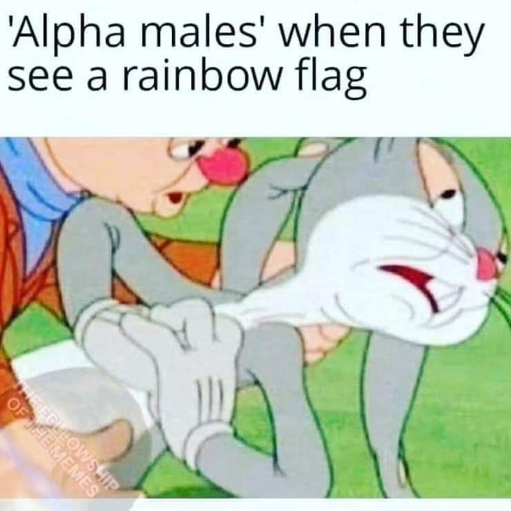 Alpha males when they see a rainbow flag