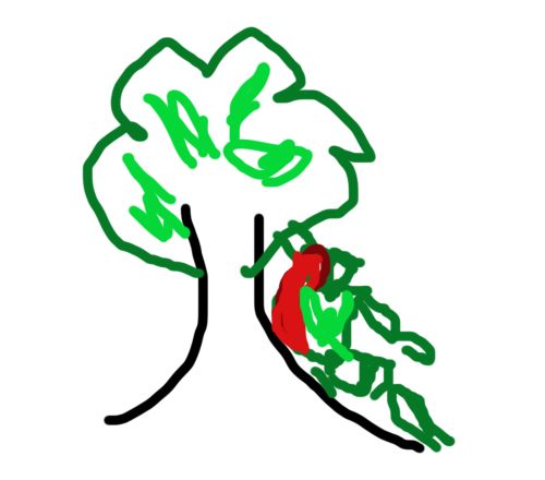 Drew this with my mouse.