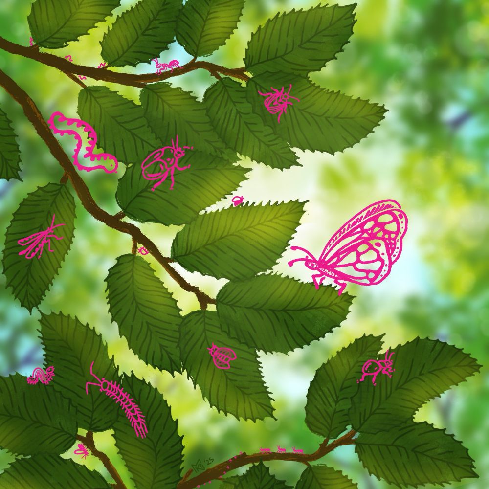 The image depicts an illustration of sunlight coming through a canopy of bright green leaves. In the foreground, two branches are much closer and remain in-focus while the rest are a blur behind them. There are stylized doodles of bugs done in bright pink scattered across the foreground branches.