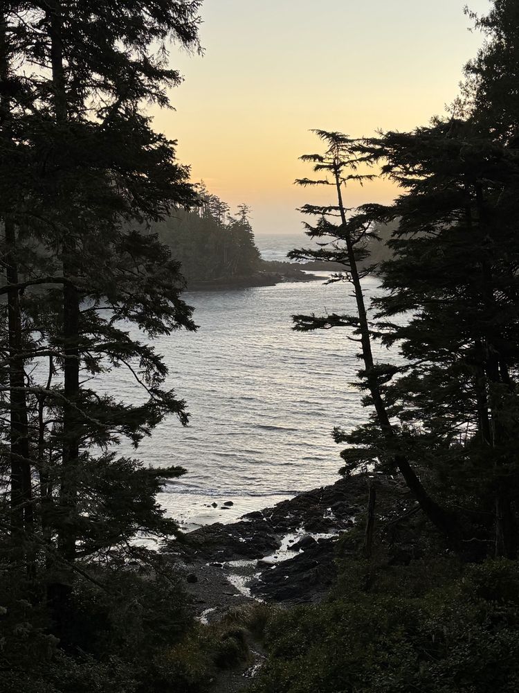 Terrace Beach view from cabin in Ucluelet, BC on the west coast of Vancouver Island. Rainforest trees, rugged coastline, with a view of the Pacific Ocean off in the distance.