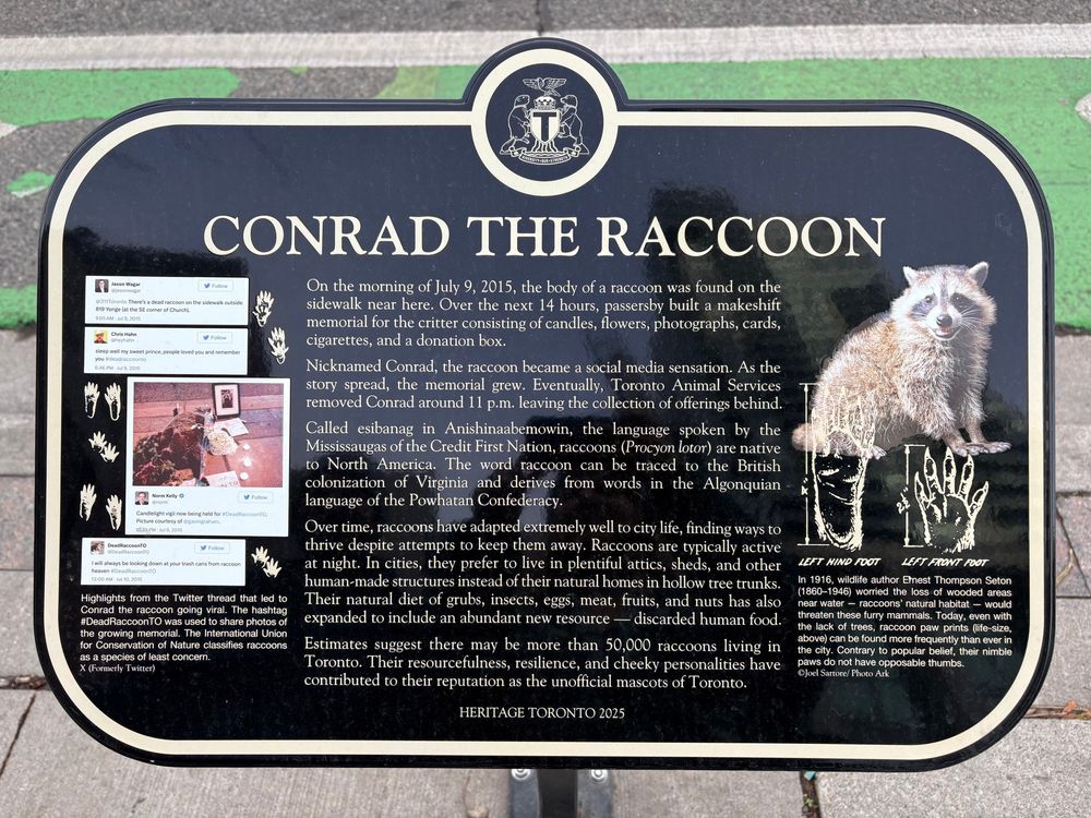 A 2025 Heritage Toronto plaque on Conrad the Raccoon telling a story of 2015 twitter vitality as a window on these critters’ special spot in Toronto’s self-conception. One of the featured tweets is an account called DeadRaccoonTO and reader, I lol’d