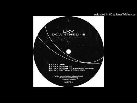 LKY - Brawler (JakoJako Remix)