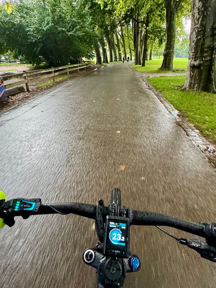 Nasse Fahrbahn im Park