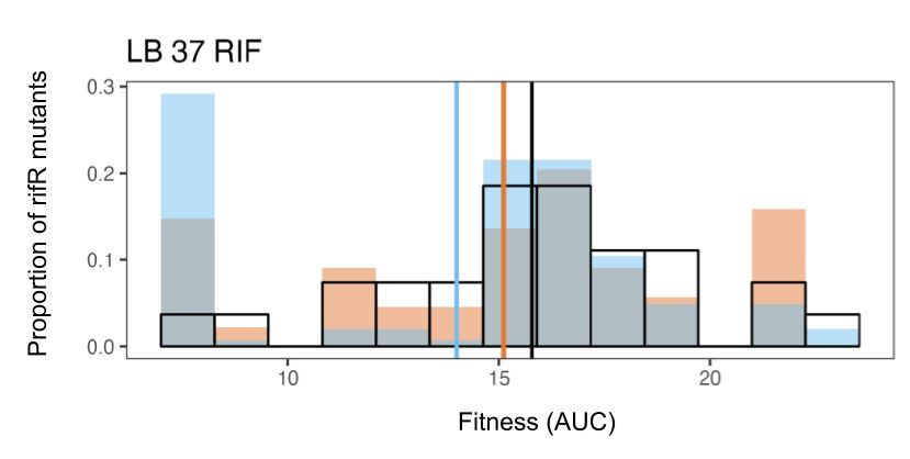 Distribution of fitness effects showing mean fitness to be lowest in nudJ knockout followed by the wt followed by the null expectation of all mutations as equal rates