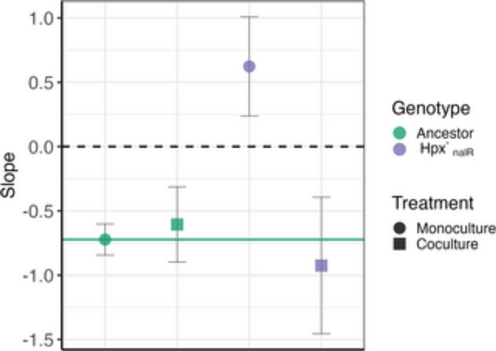 Collective peroxide detoxification determines microbial mutation rate plasticity in E. coli