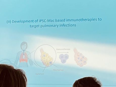 4th DZIF Bridging Topic Workshop
Cell and Gene Therapies of Infectious Diseases

Based on our previous findings and ongoing projects in the clinical infectious disease laboratory at the UKGM in Gießen, we are pursuing the vision of developing an innovative, cell-based, and targeted therapy for acute lung injury and acute respiratory distress syndrome (ARDS). This ambitious endeavor is part of a national scientific effort to advance cell and gene therapies for infectious diseases into clinical practice, supported by the German Center for Infection Research (DZIF).

On November 12, 2025, the "4th DZIF Bridging Topic Workshop – Cell and Gene Therapies of Infectious Diseases" took place at the Clinical Research Center (CRC) in the vibrant metropolis of Hannover. The workshop covered a wide range of topics, including adenovirus vector- and T-cell-based gene therapies and their applications in the treatment of HIV, PML, HBV, CMV, EBV, and SARS-CoV-2. Additionally, data on harnessing and tailoring the unique properties of stem cell-derived macrophages for next-generation immunotherapies in pneumonia and chronic lung diseases were presented.

We are grateful for a day filled with highly interesting lectures and lively discussions, as well as valuable insights into networking, regulatory and ethical frameworks, interdisciplinary thinking, and collaborations.