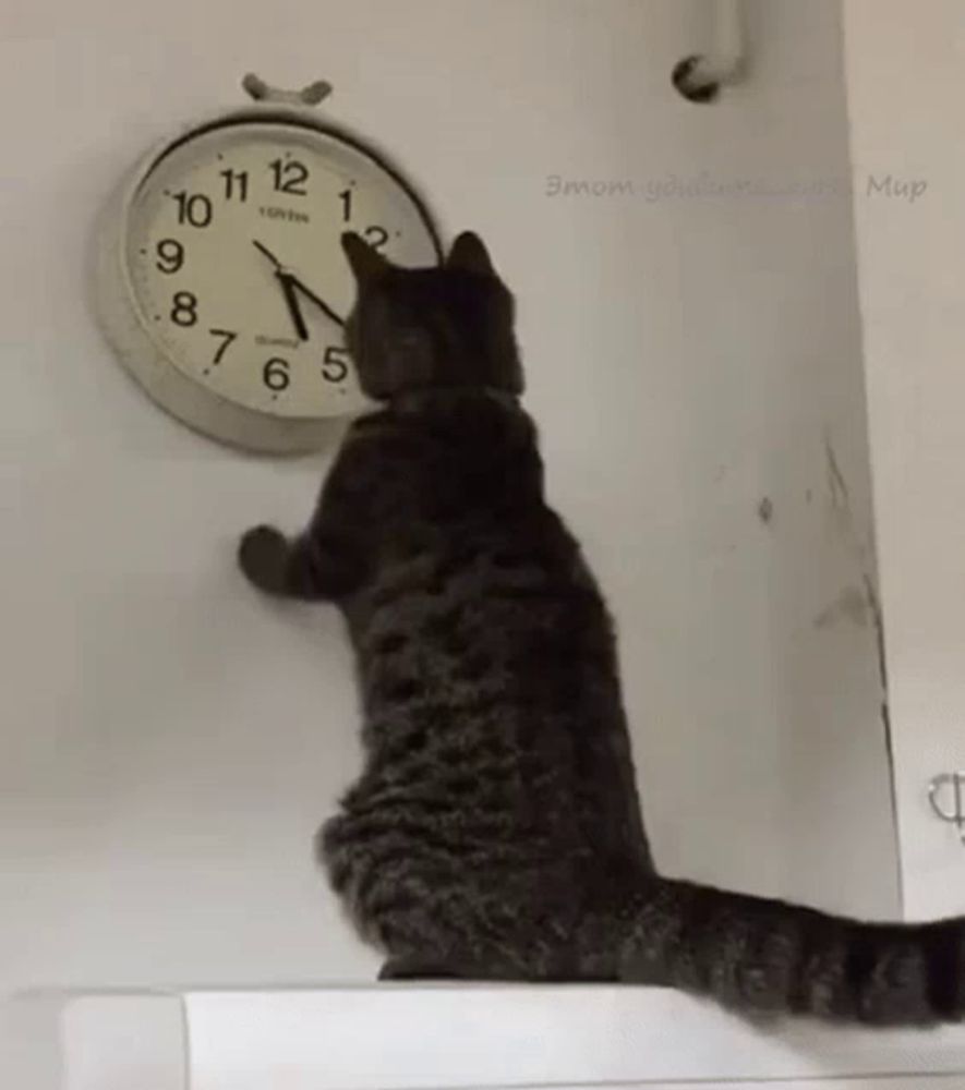 Cat Changing The Clock Changing The Time GIF