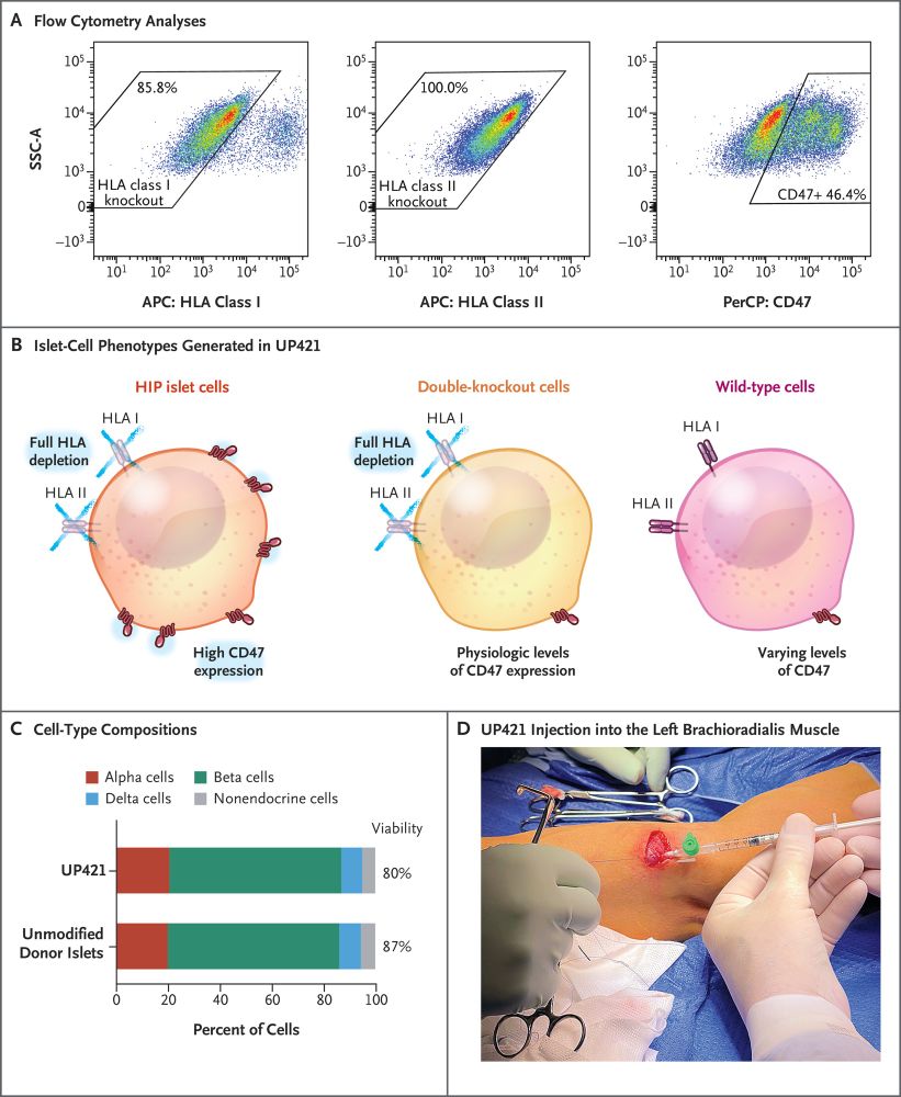 The need to suppress a patient’s immune system after the transplantation of allogeneic
cells is associated with wide-ranging side effects. We report the outcomes of transplantation
of genetically m...