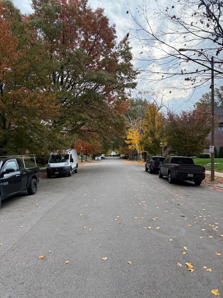 A tree lined street with red and green and yellow leaves