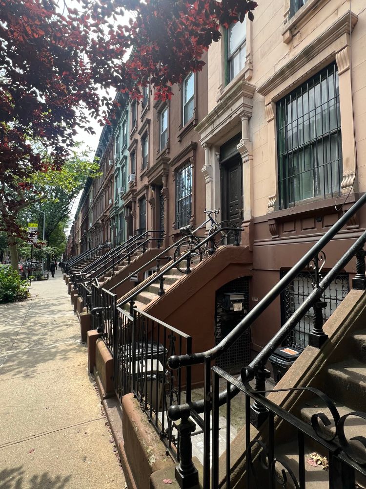 Row of buildings in Harlem, New York