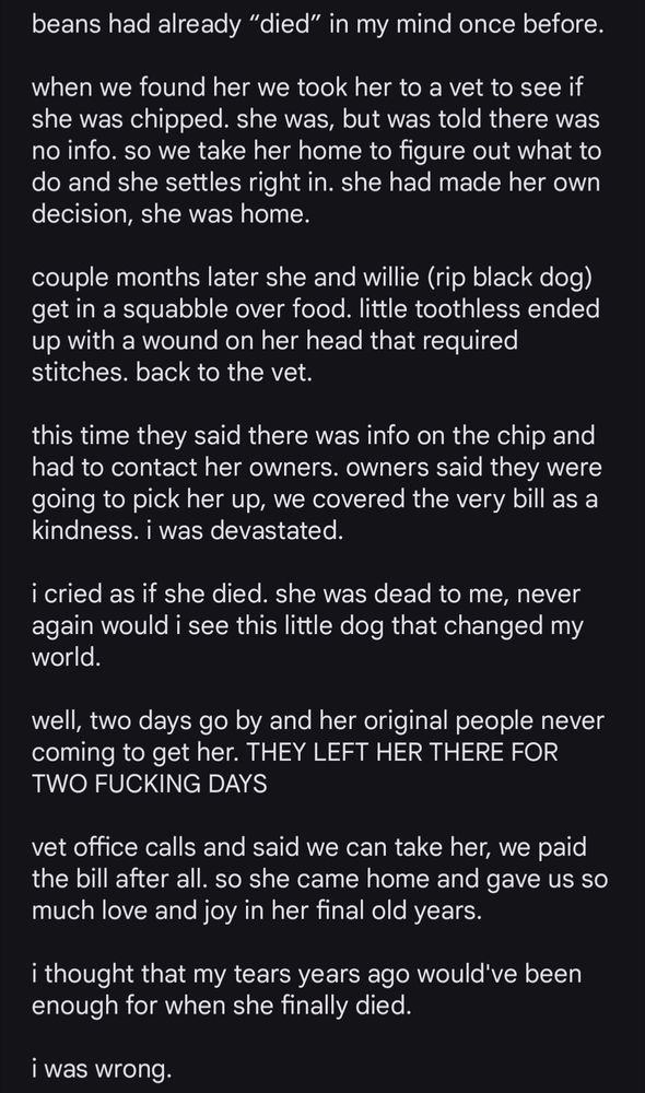 beans had already “died” in my mind once before.

when we found her we took her to a vet to see if she was chipped. she was, but was told there was no info. so we take her home to figure out what to do and she settles right in. she had made her own decision, she was home.

couple months later she and willie (rip black dog) get in a squabble over food. little toothless ended up with a wound on her head that required stitches. back to the vet.

this time they said there was info on the chip and had to contact her owners. owners said they were going to pick her up, we covered the very bill as a kindness. i was devastated.

i cried as if she died. she was dead to me, never again would i see this little dog that changed my world.

well, two days go by and her original people never coming to get her. THEY LEFT HER THERE FOR TWO FUCKING DAYS

vet office calls and said we can take her, we paid the bill after all. so she came home and gave us so much love and joy in her final old years. 

i thought that my tears years ago would've been enough for when she finally died. 

i was wrong.