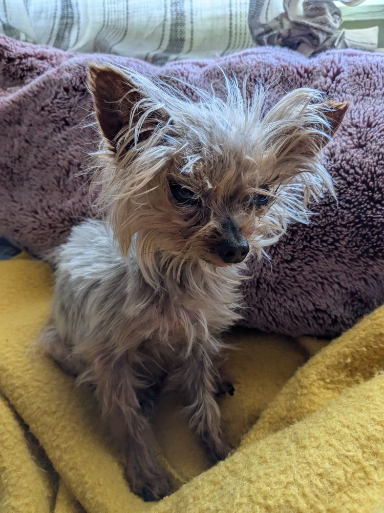 beans with her hair disheveled, wondering 'what year is it?'