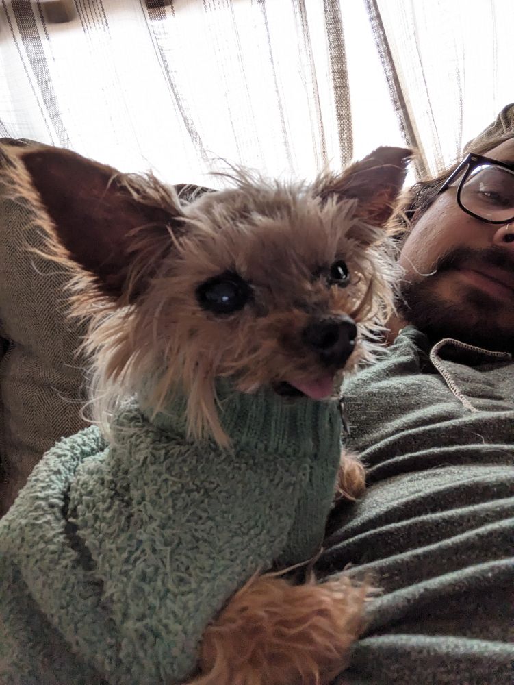 beans sitting on my chest 

tongue out as always