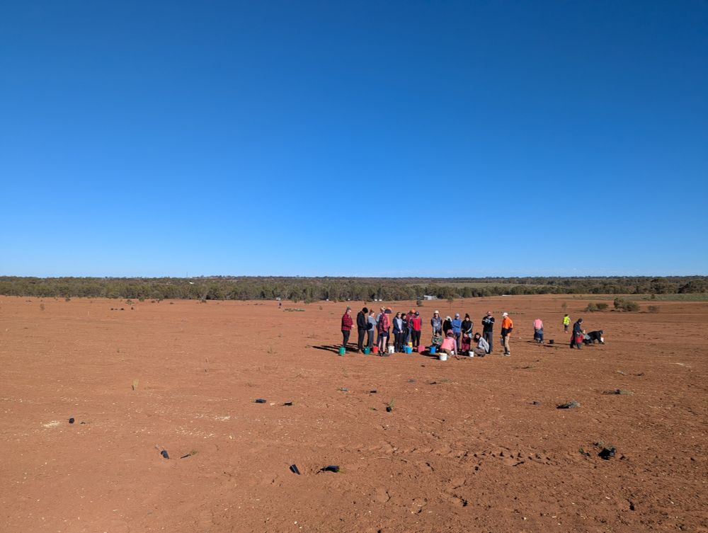 A group of 30 people stand in a tilled field surrounded by auger holes with seedlings ready to plant